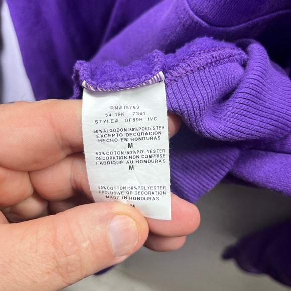 Champion Embroidered Spellout Hoodie Sweatshirt Mens M Purple Activewear 2401 - Picture 4 of 8